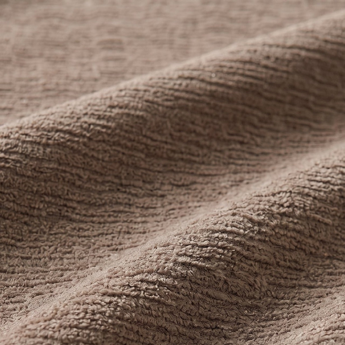 Détail de la chenille marron d’Anouk